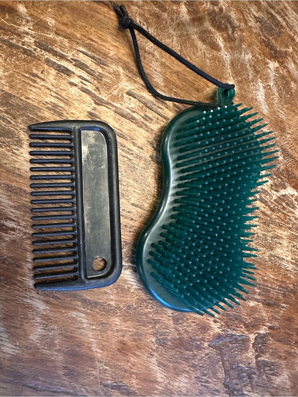 Horse Brush & Comb Set